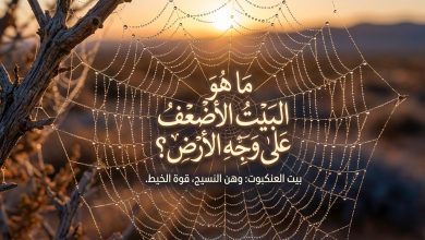 صورة مكبرة لبيت عنكبوت تحت المجهر مع عبارة: 'ما هو البيت الأضعف على وجه الأرض؟' باللغة العربية، لتسليط الضوء على الوهن والقوة في نسيجه".