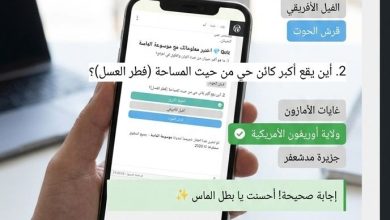 صورة تجمع بين الحوت الأزرق في المحيط وفطر العسل في الغابة لمقارنة أحجام أكبر الكائنات الحية على كوكب الأرض - موسوعة الماسة"