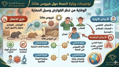 إنفوجرافيك تعليمي من موسوعة الماسة يوضح توضيحات وزارة الصحة حول فيروس هانتا، يشمل أعراض العدوى مثل الحمى وضيق التنفس، وطرق الانتقال عبر القوارض، وسبل الوقاية الصحية لعام 2026."