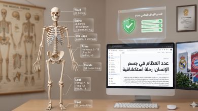رسم توضيحي طبي للهيكل العظمي البشري يوضح توزيع العظام في الجسم مع شعار موسوعة الماسة.