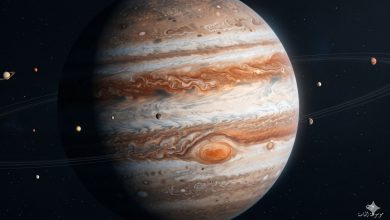 كوكب المشتري أكبر كوكب في النظام الشمسي مع أحزمته الغازية وأقماره وشعار موسوعة الماسة